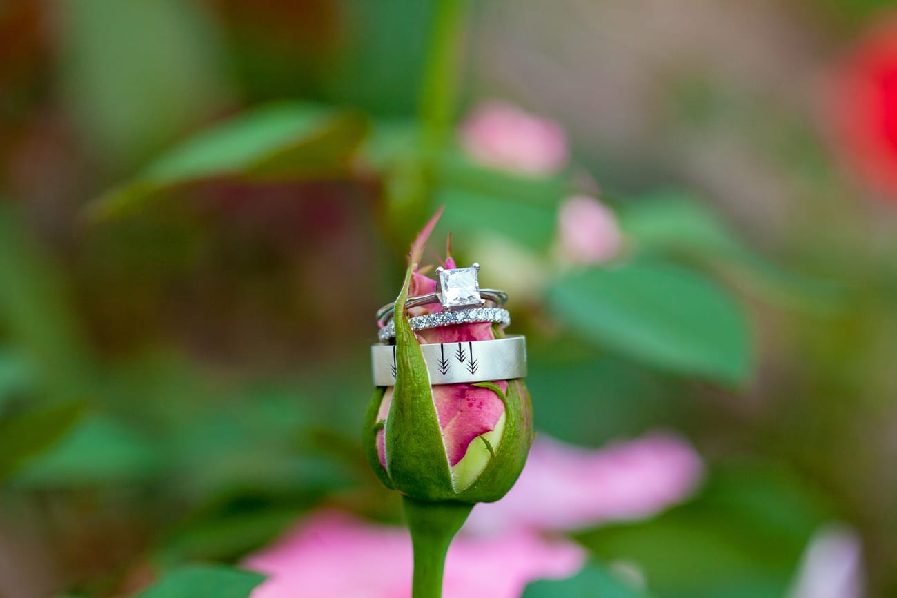 Romantic Maryland  Wedding | Antrim 1844 | Lauren Myers Photography
