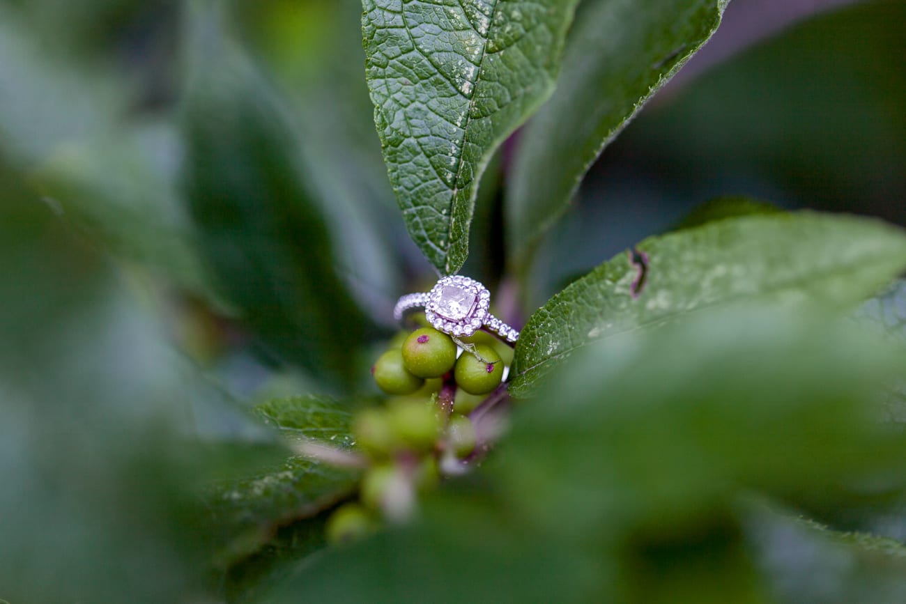 Maryland Engagement Pictures | Lauren Myers Photography