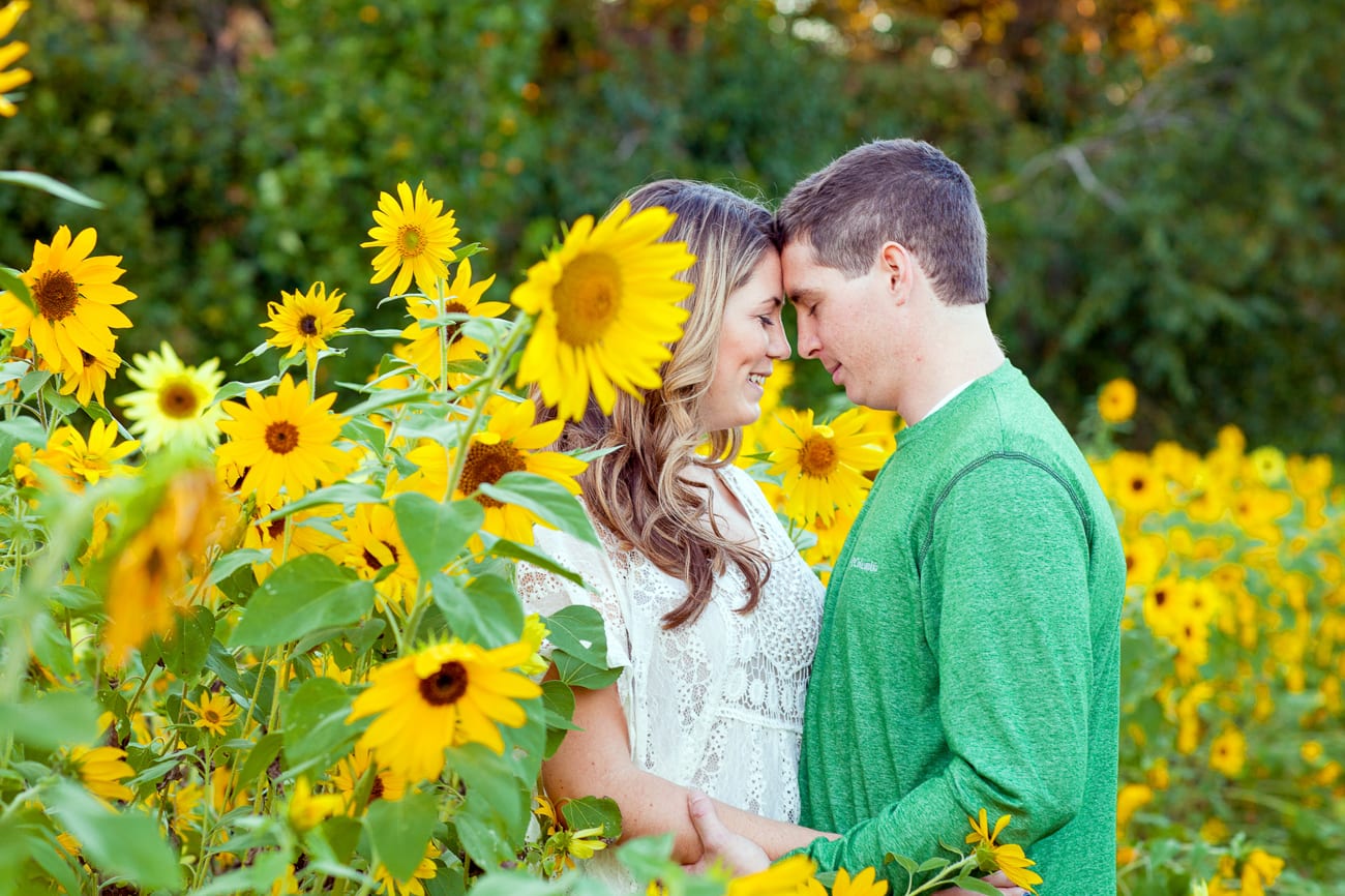 Sunflower Engagement Pictures | Lauren Myers Photography