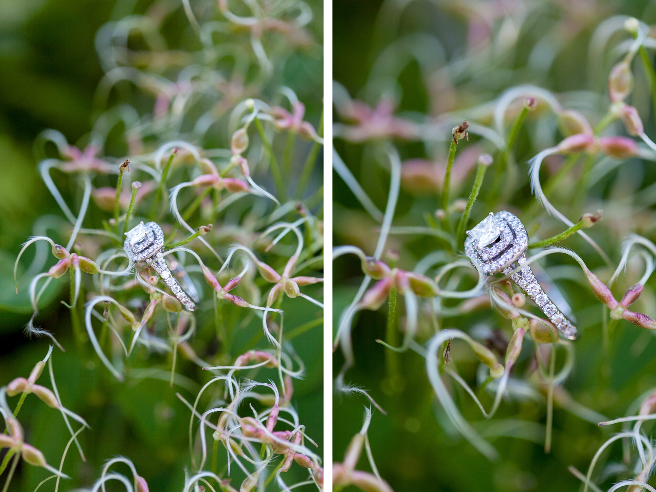 Fall Engagement Portraits | Lauren Myers Photography