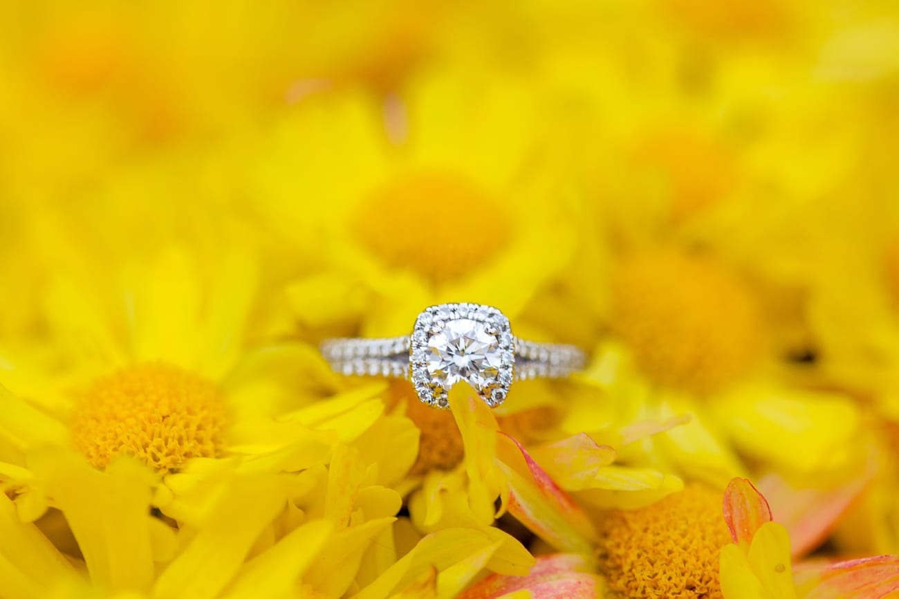 McDaniel College Engagement | Lauren Myers Photography #FallEngagementPictures