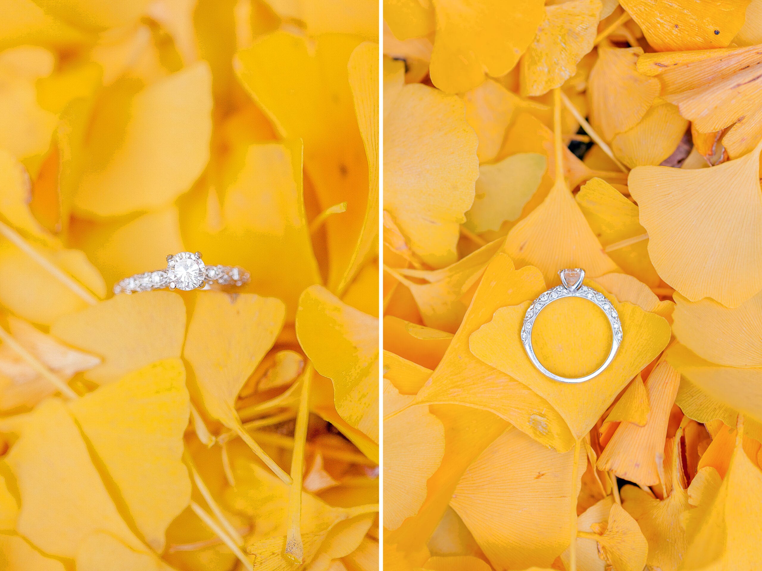 Fall Engagement Pictures | Lauren Myers Photography