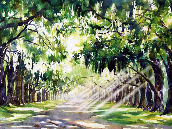 LiveOakDrive_Wormsloe