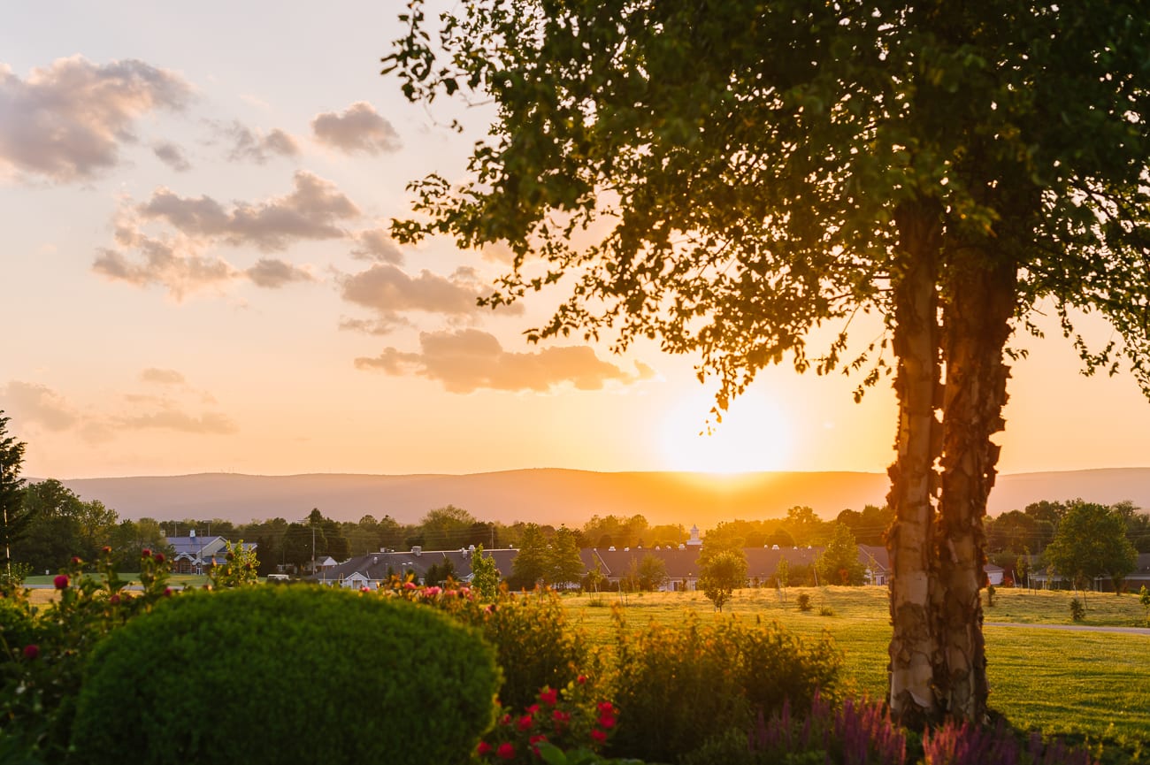 Walker's Overlook- Frederick, Maryland Wedding | Lauren Myers Photography #YellowGrayWedding