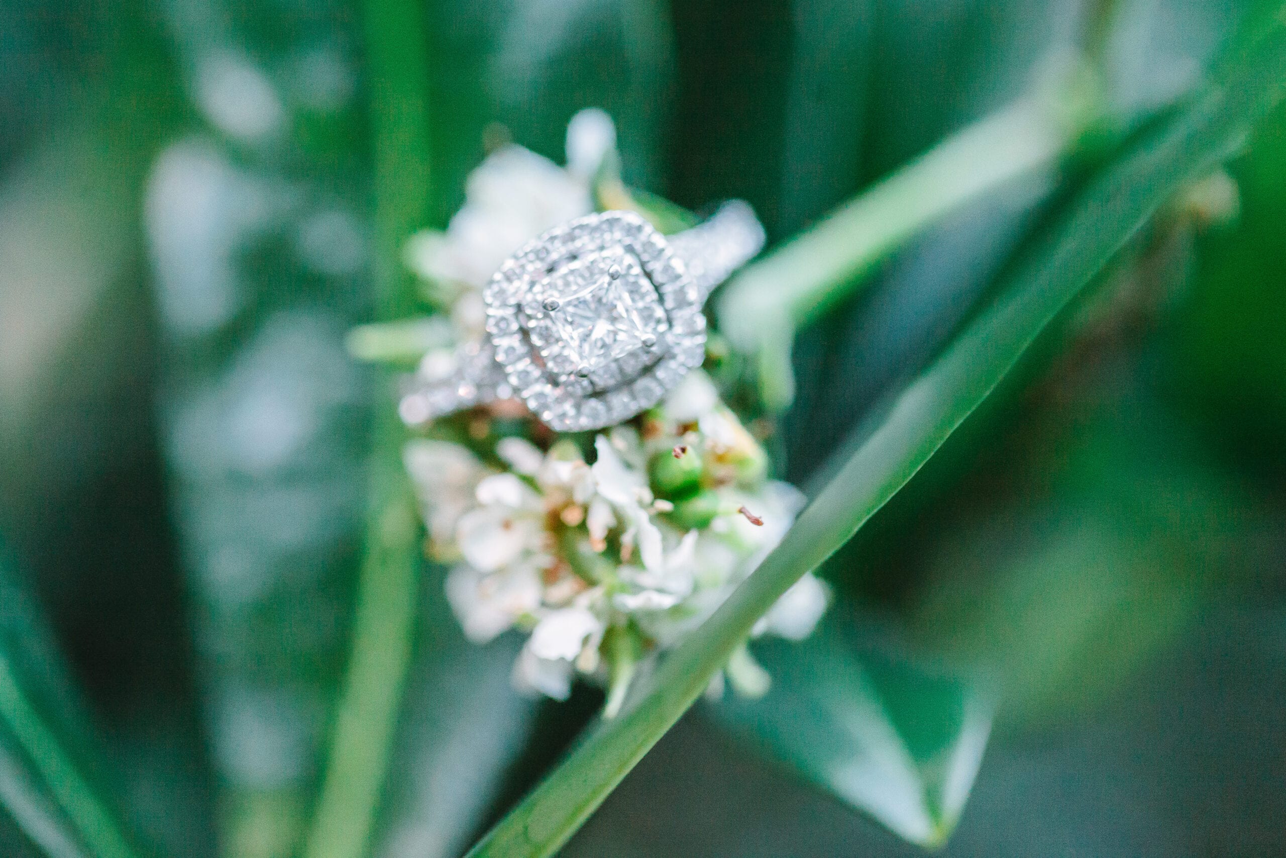 Fall Annapolis Engagement Session by Lauren Myers Photography