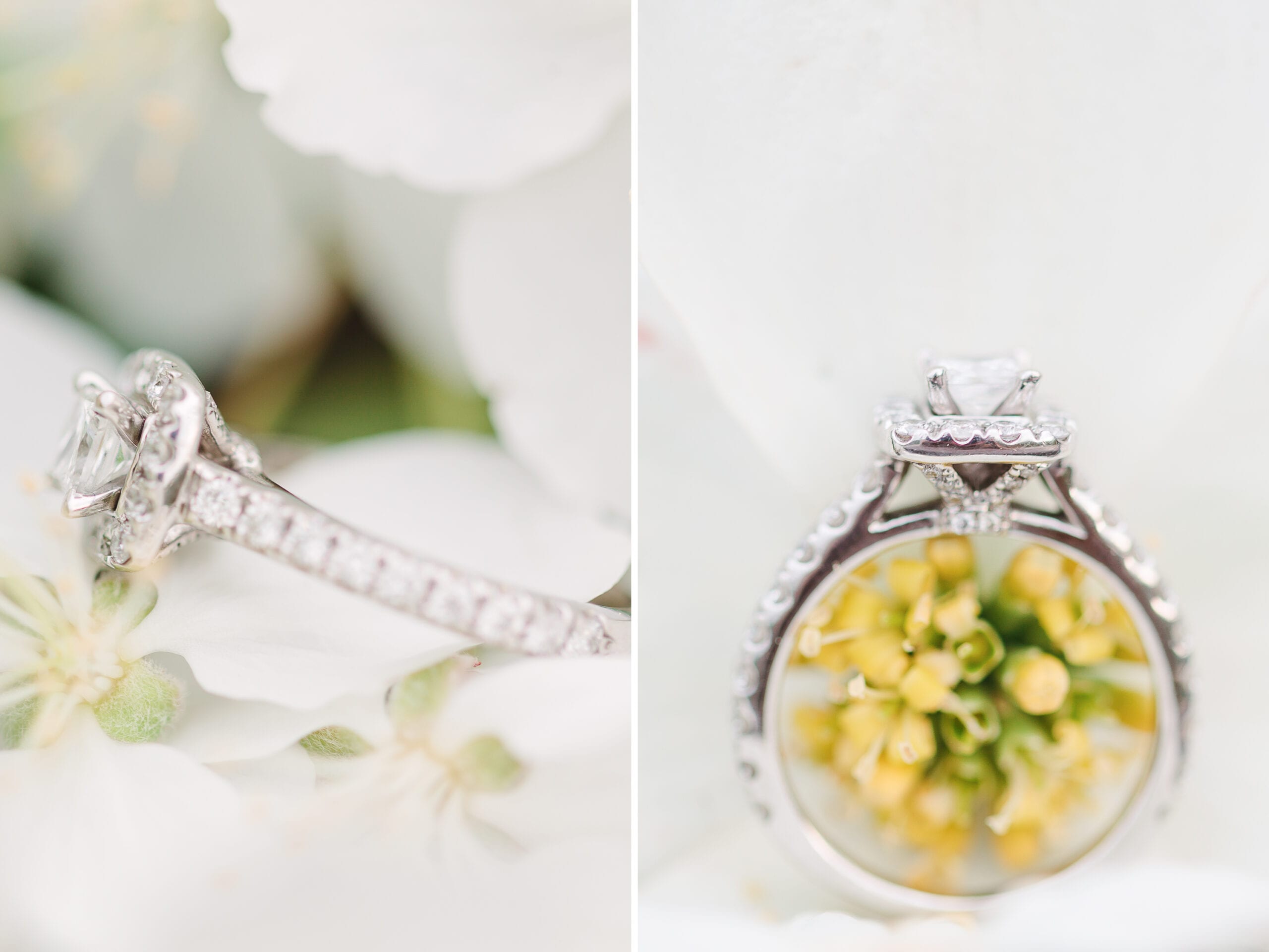 Ellicott City, Centennial Park Engagement Session by Lauren Myers Photography