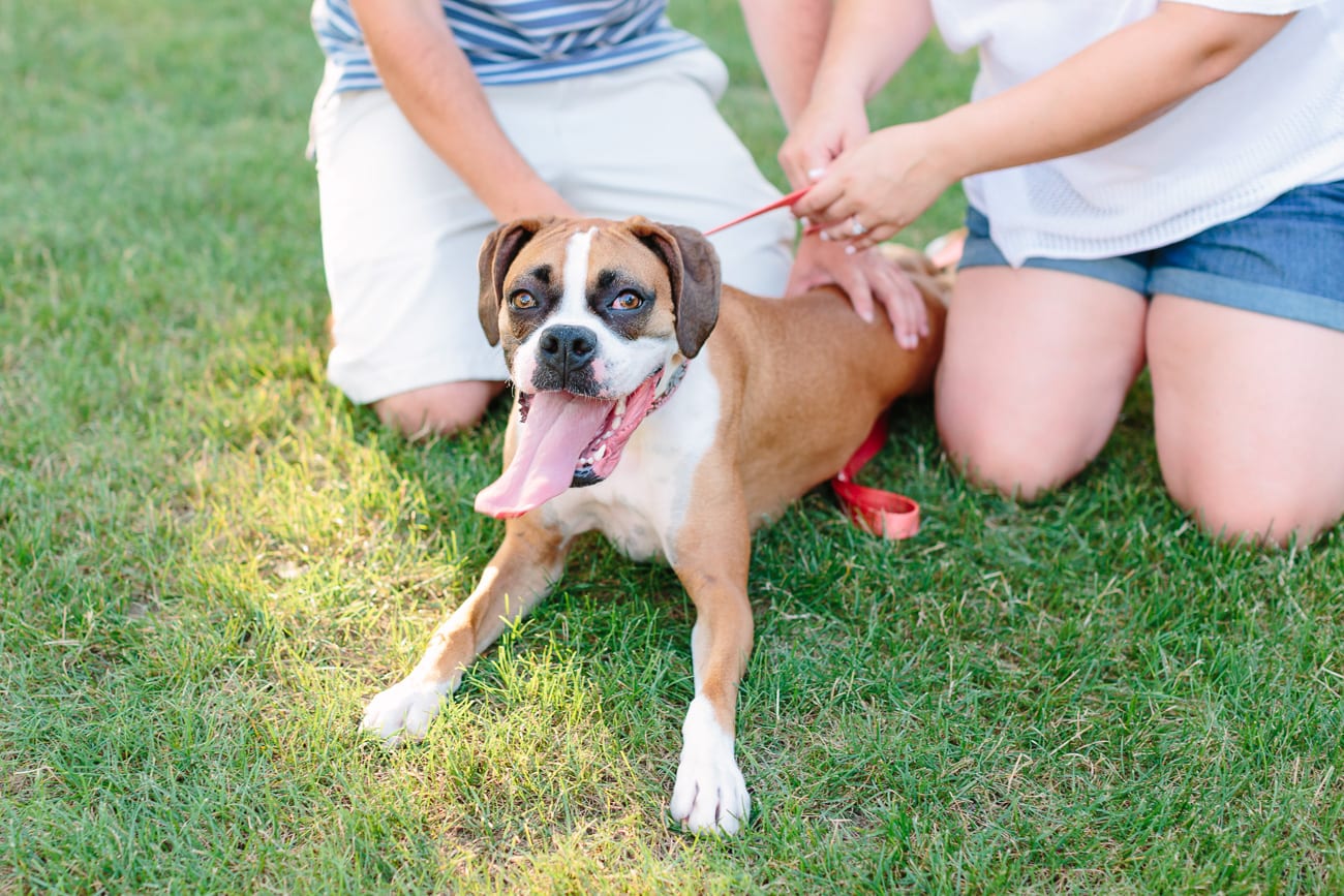 Gettysburg College Engagement Session by Lauren Myers Photography