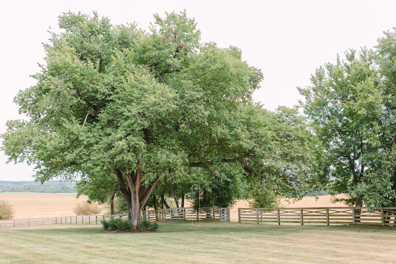Walker's Overlook Wedding by Lauren Myers Photography